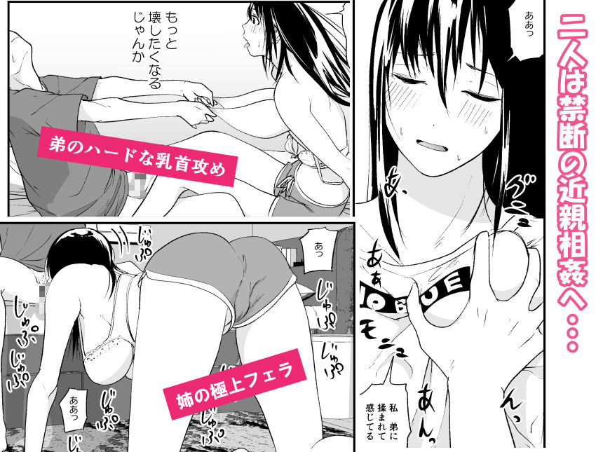 【エロ漫画】美人で文武両道の完璧なJK姉が家でディルドオナニーしてるところを弟くんに見られてしまうんだけど、それがきっかけで一線を越えてイチャイチャ近親相姦エッチしちゃう♡